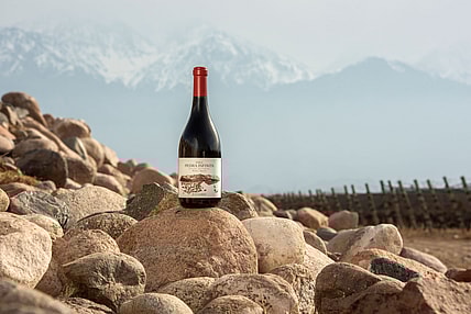 Finca Piedra Infinita (Terroir) (1)