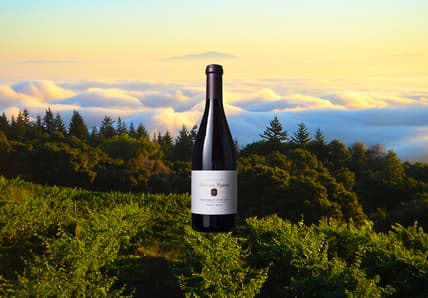 Red wine from the Santa cruz mountains.