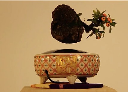 Air Bonsai magnetically levitating plant
