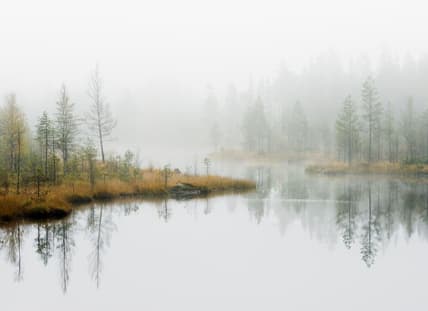 Sweden