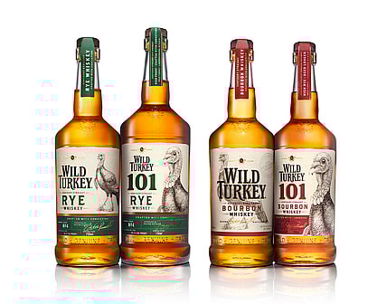 Wild Turkey Family Shot - Email HiRes.jpg