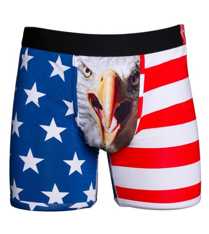 USA_Eagle_1