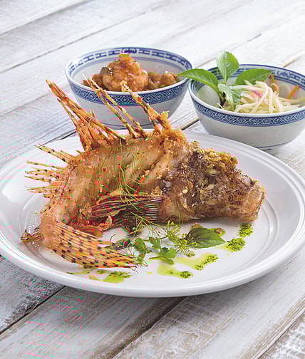 Crispy fried Lionfish "Deep End of Flavor" book