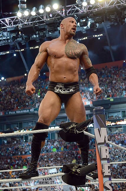 np122915_therock_article.jpg