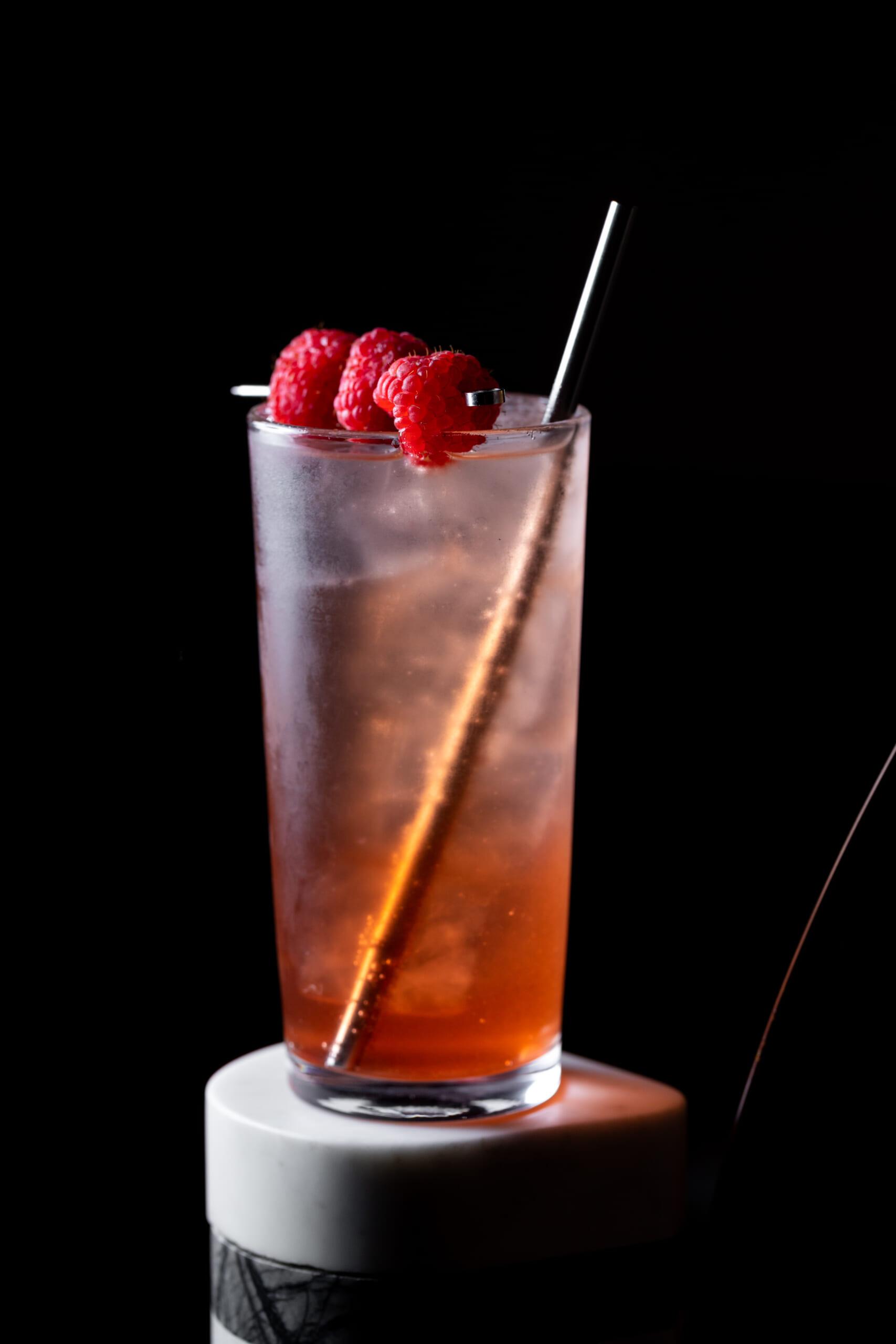 Raspberry Shrub (No-ABV) (1)