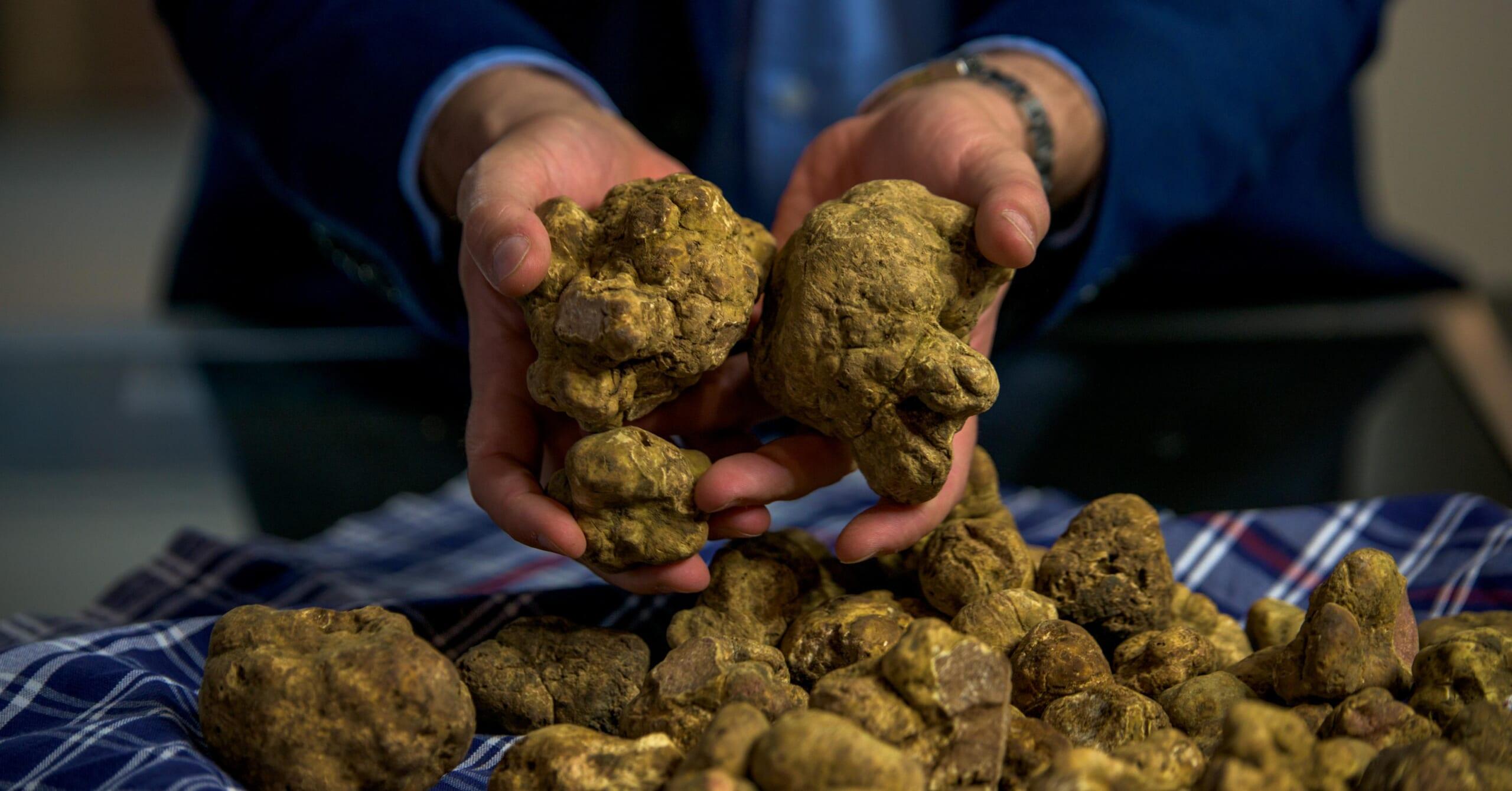 Truffles Promo