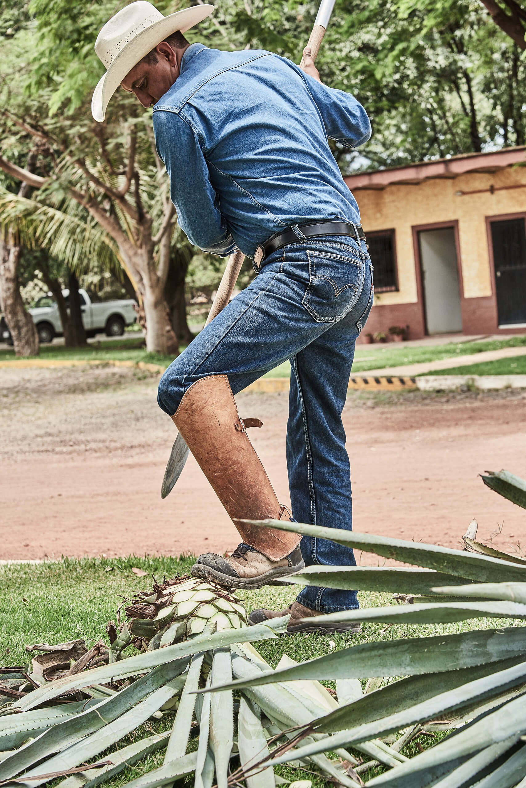 Mexico 12