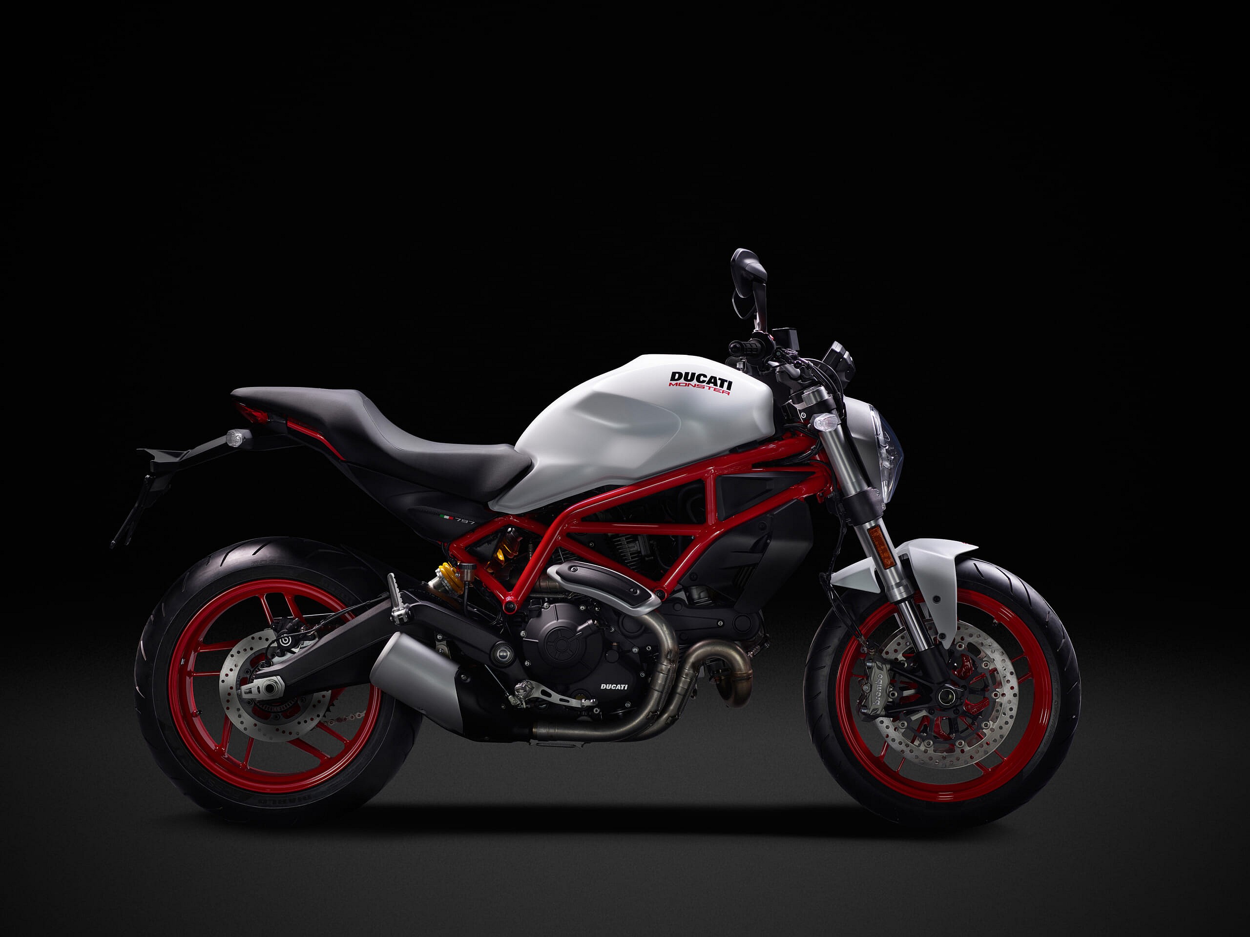 06 MONSTER 797