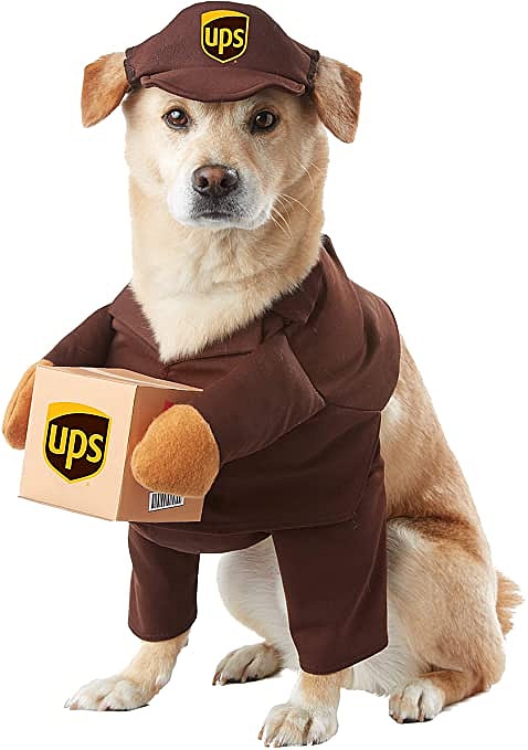 UPS Dog