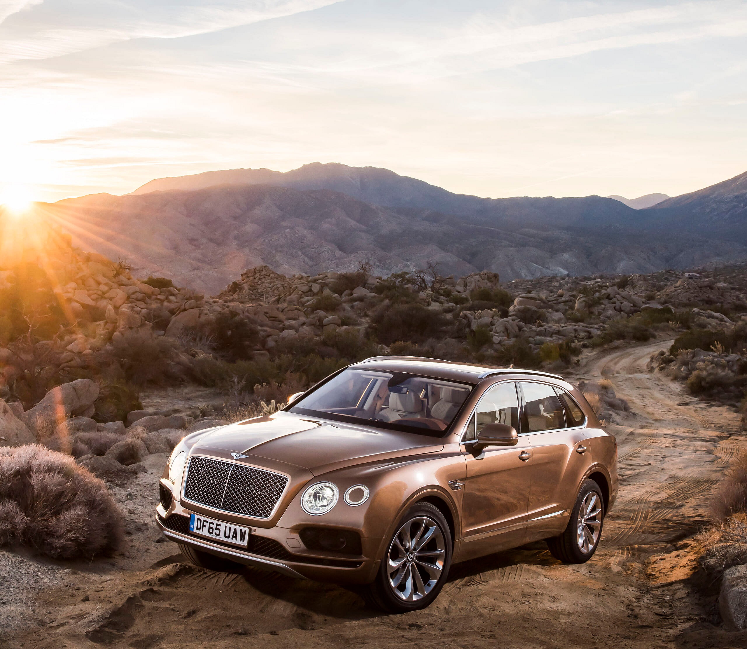 904Bentayga-Bronze-4.jpg