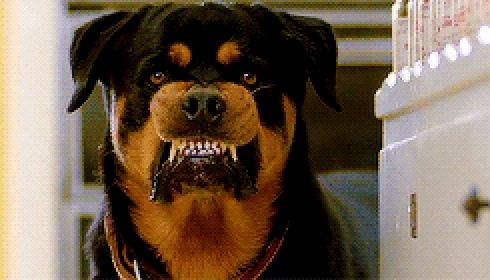 rott