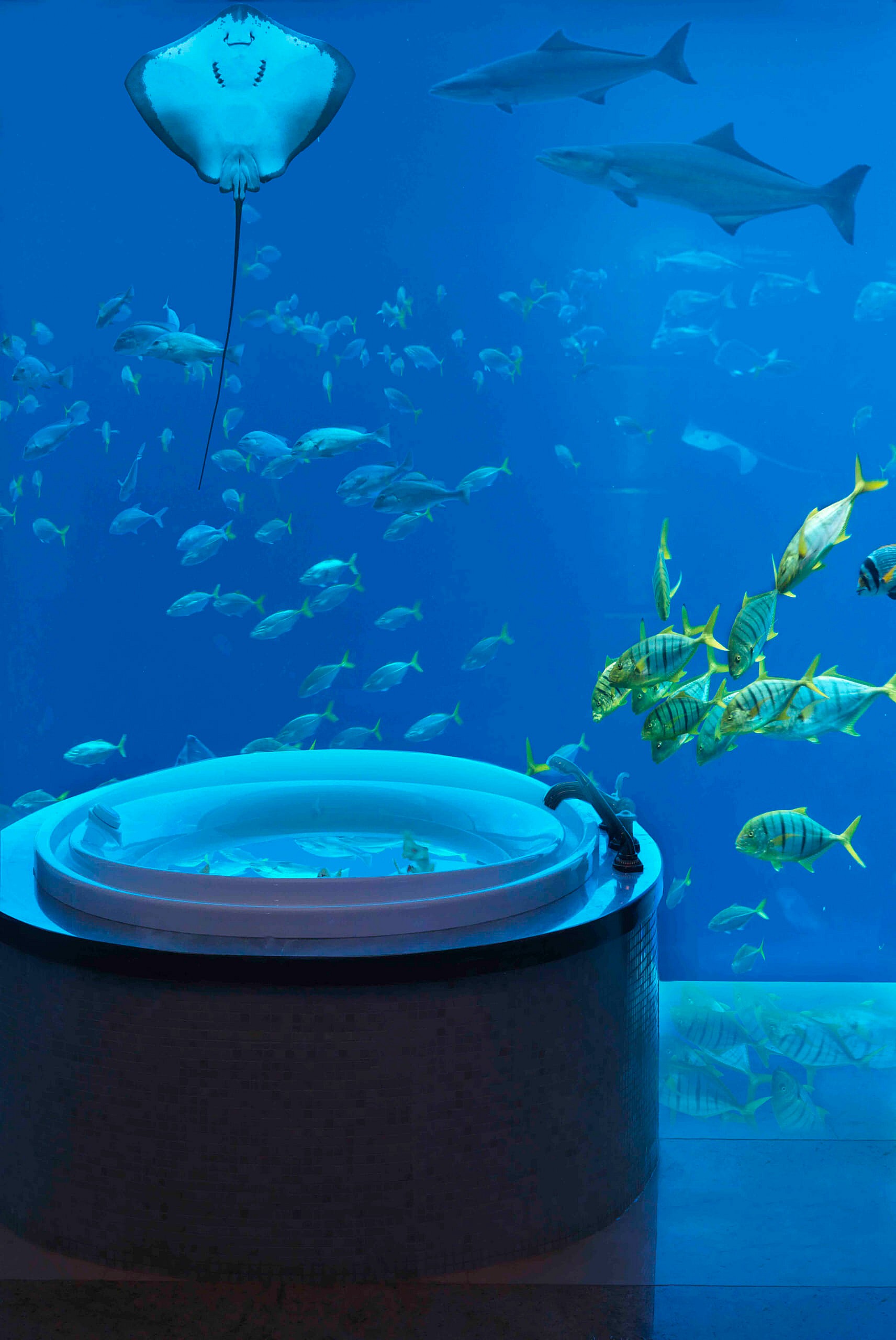 atlantisthepalm-underwatersuitesbathroom