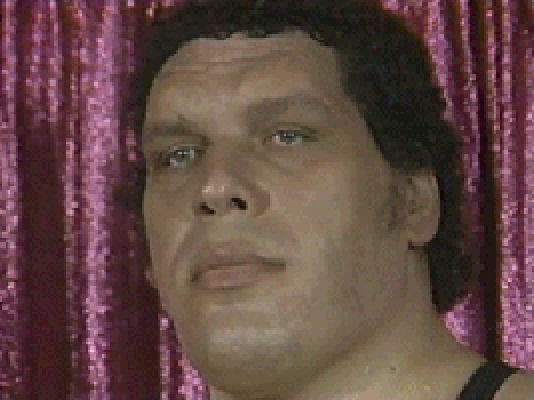 ezgif-3117368028.gif