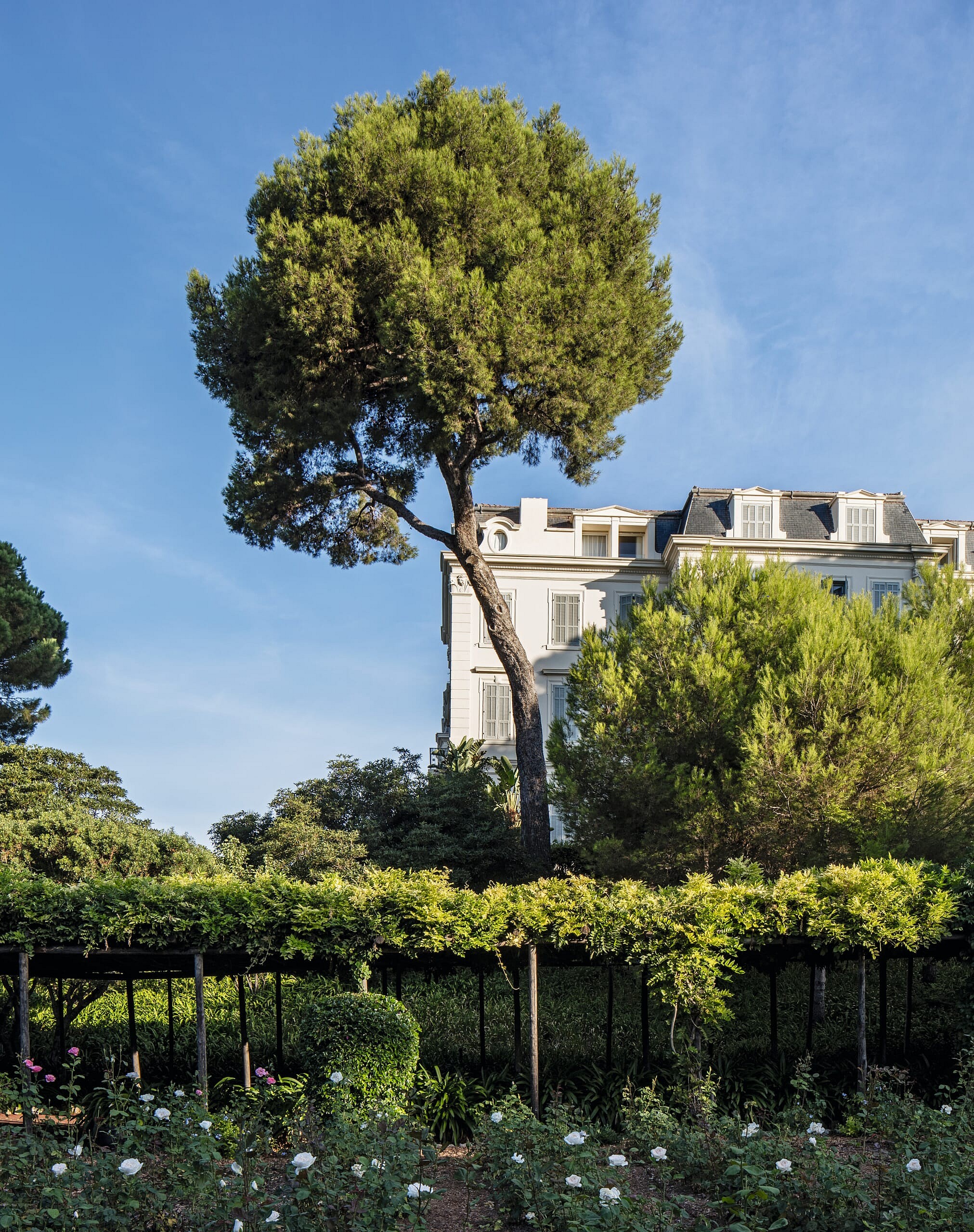 Hotel du Cap  (3)