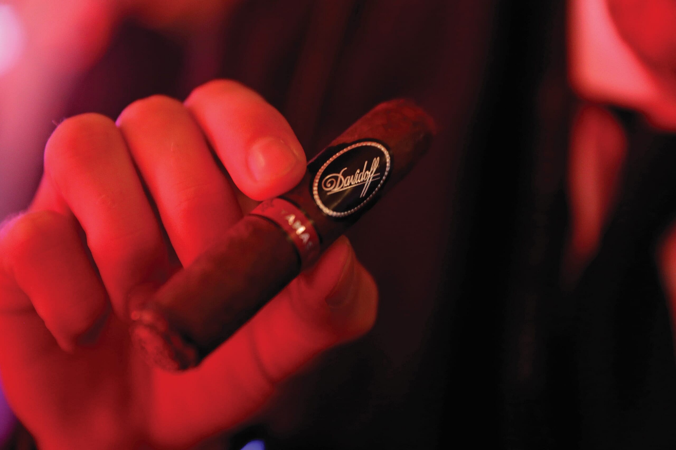 Davidoff Masterpiece Series Cigars  (2)