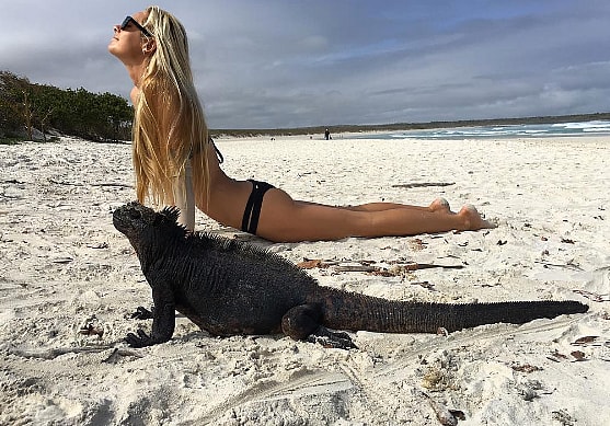 Screen Shot 2016-11-02 at 2.55.52 PM