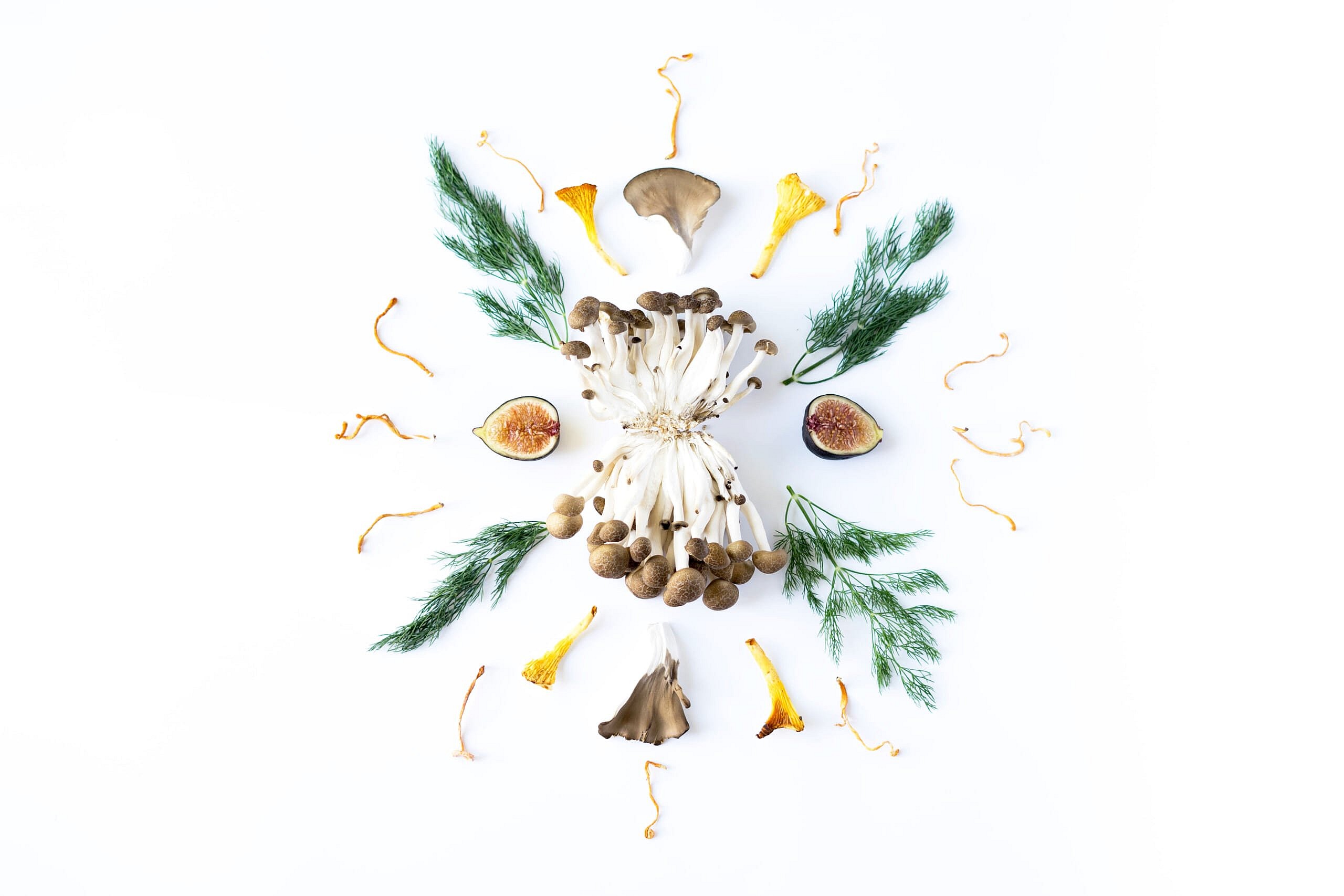 Mushroom_Mandala-2