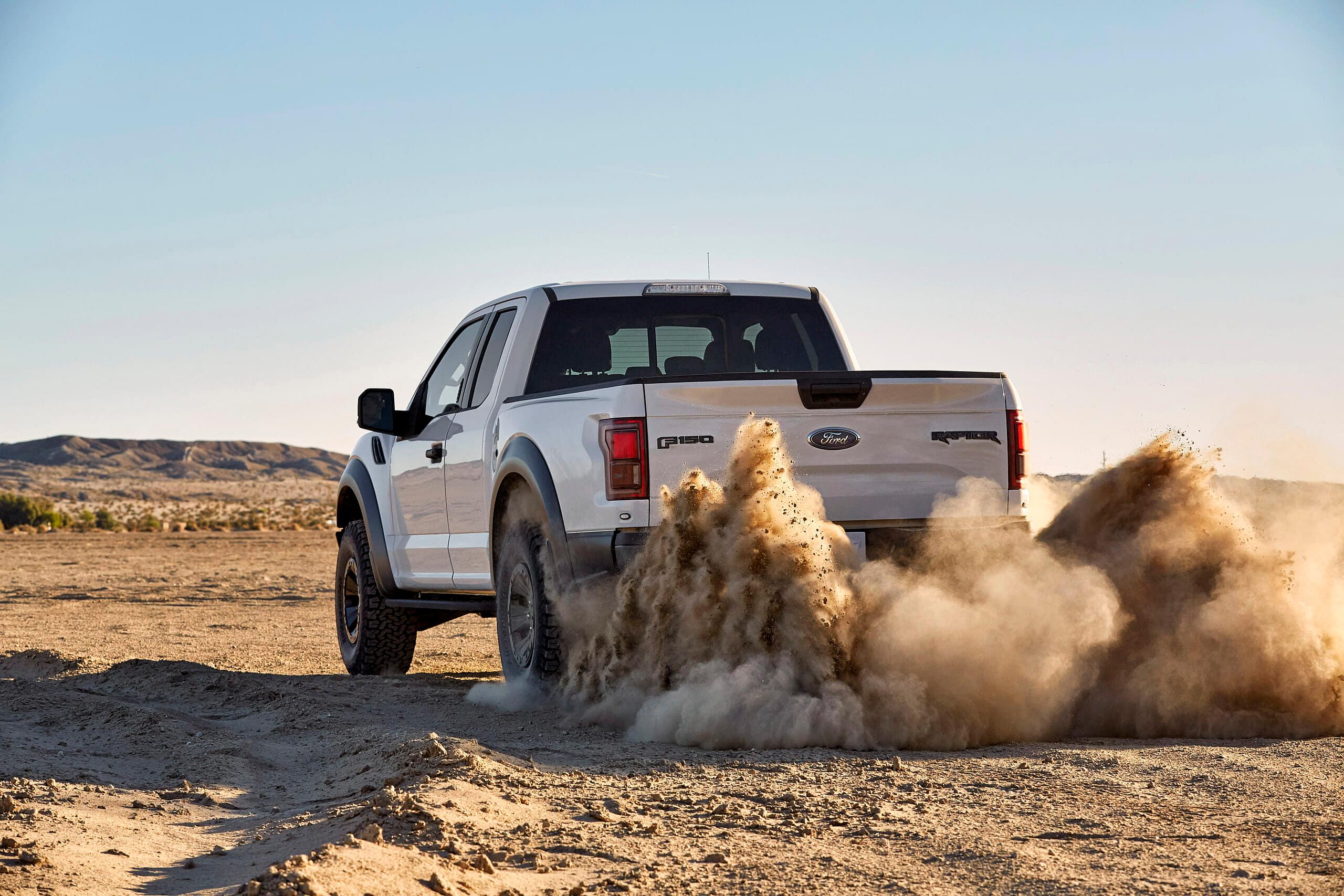 White_Raptor_042_C1.jpg