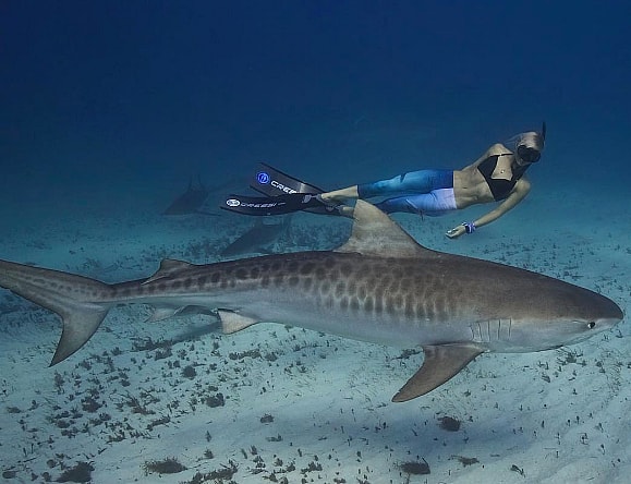 Screen Shot 2016-11-02 at 3.00.13 PM