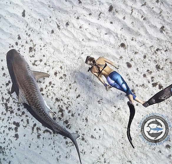 Screen Shot 2016-11-02 at 2.59.34 PM