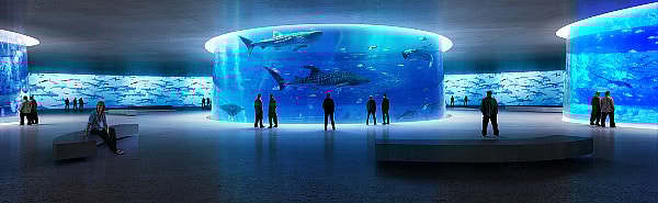 Lissoni Associati NYC Aquatrium - underground.jpg Plenty of places to gaze at the fishies