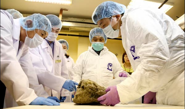 South Korean scientists extract their samples