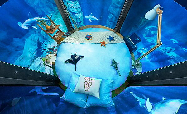 AirBnb Night in Shark Aquarium Contest - interior.jpg The room is totally tank-themed