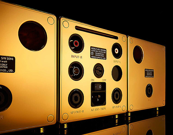 River's Tone gold Premium Speaker System - rear.jpg Fairly simple inputs and outputs on the back