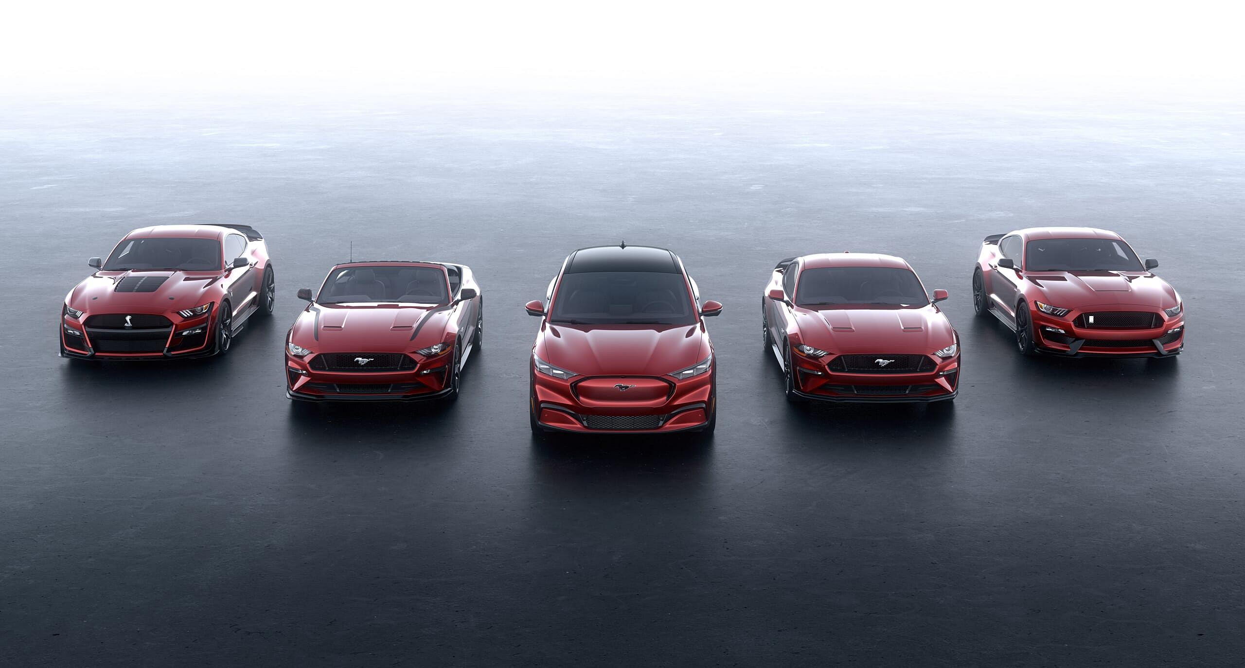 Mustang-Family-Photo