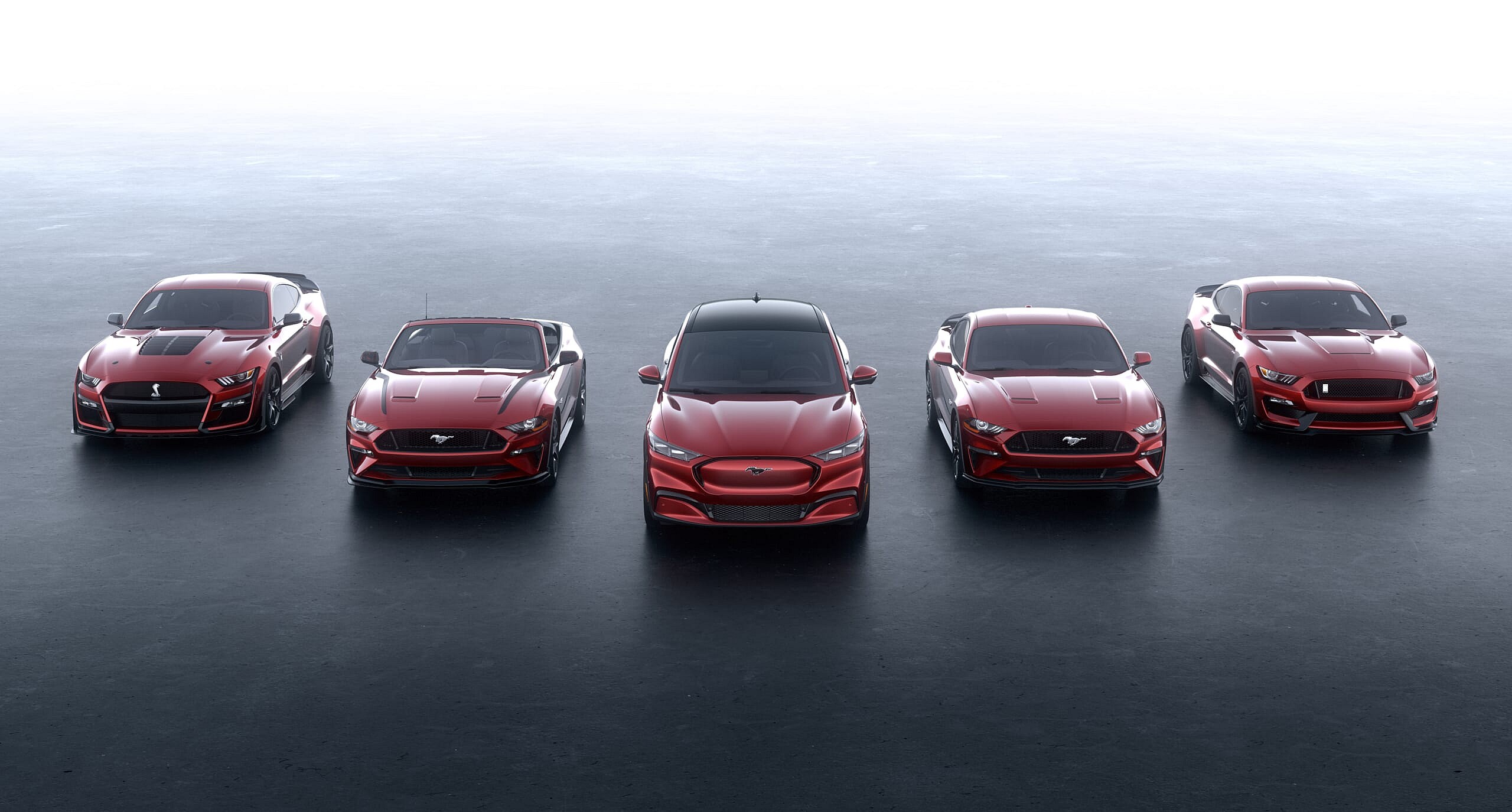 Mustang-Family-Photo