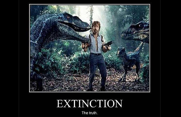 Chuck Norris 4 via Pinterest.jpg