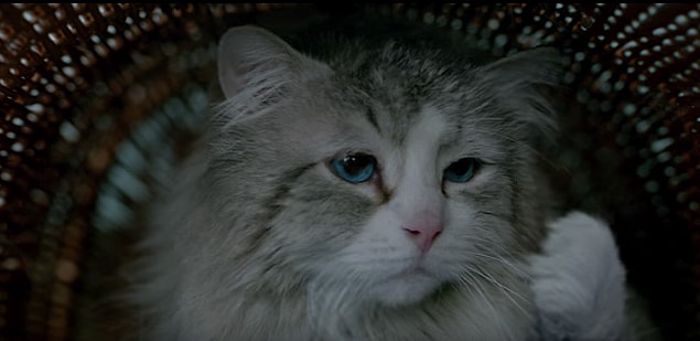 Screen Shot 2016-04-15 at 11.48.23 AM.png