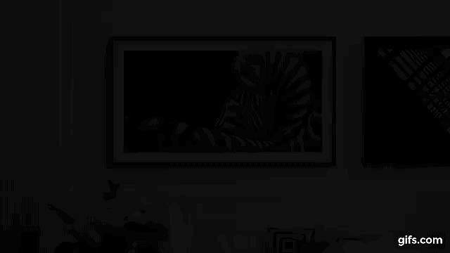 The Frame display