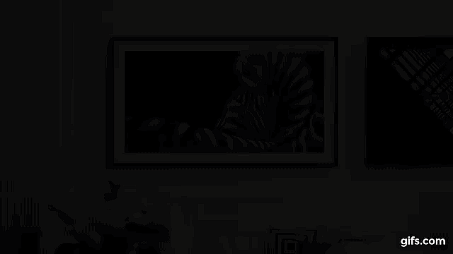 The Frame display