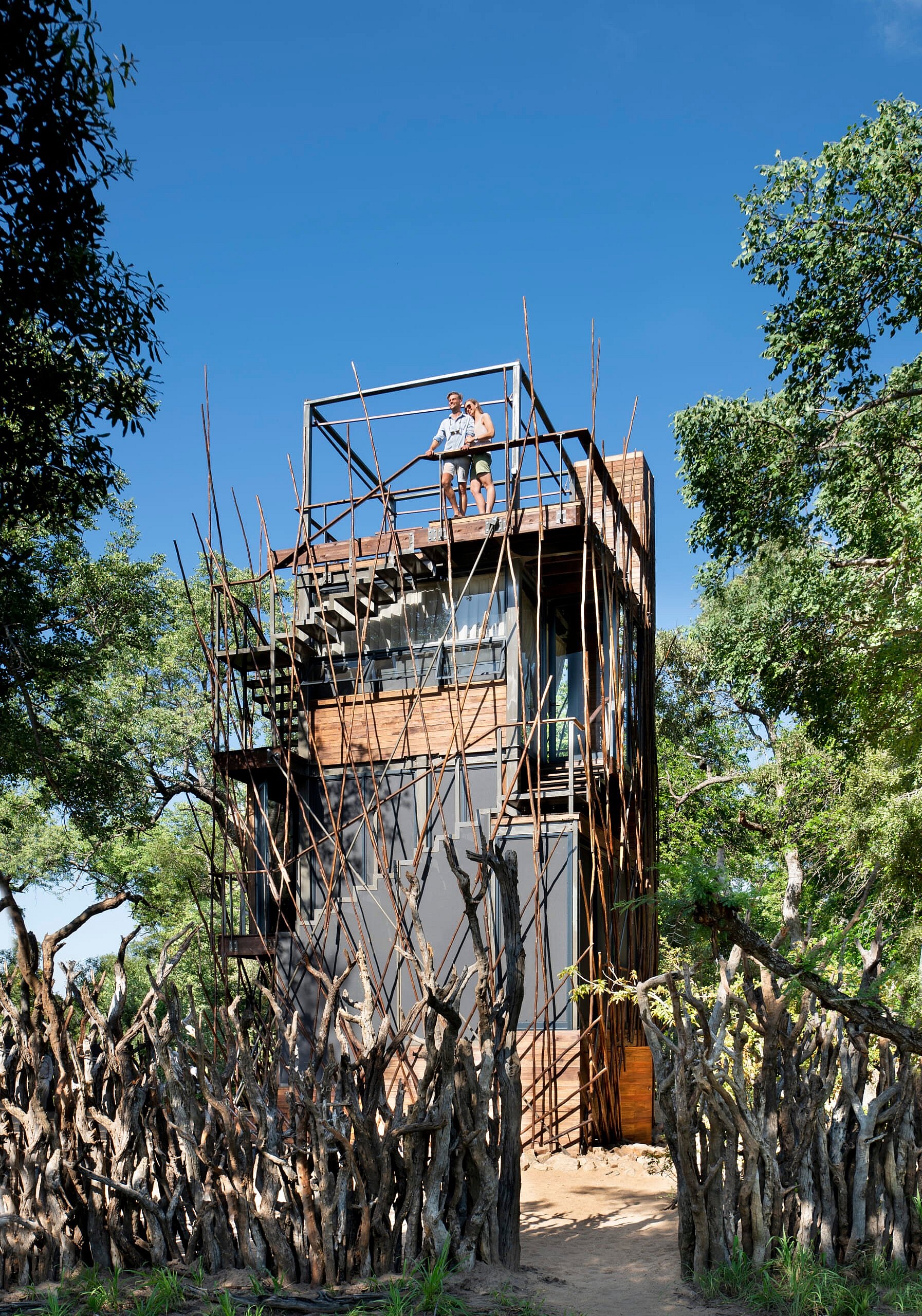 Ngala-Treehouse-in-the-Kruger