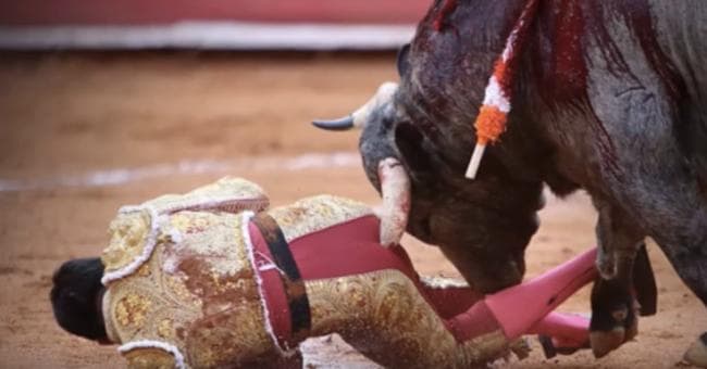 Gored Bull Fighter Promo