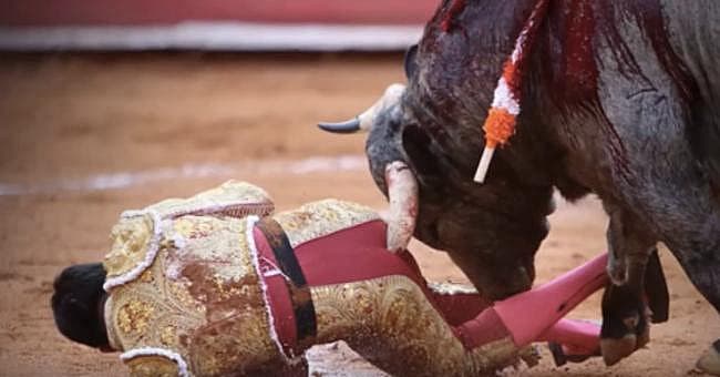 Gored Bull Fighter Promo