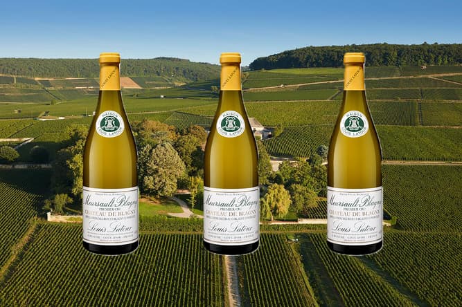 Wine of the Week