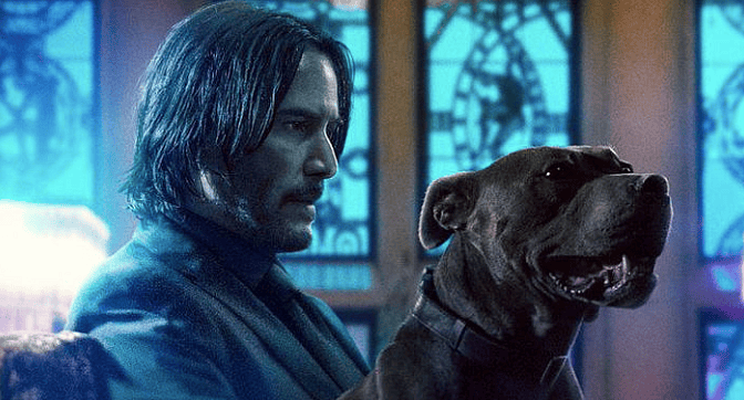 Screen Shot 2019-03-21 at 11.53.05 AM