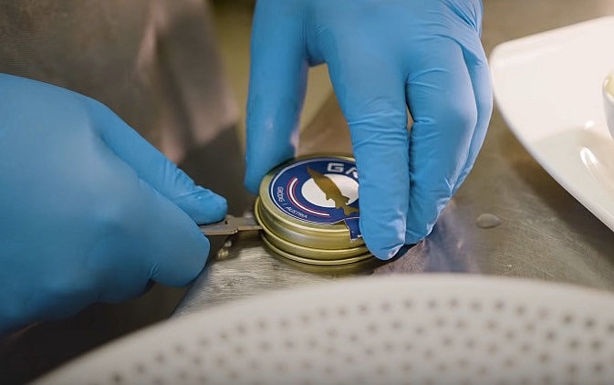 white-gold-caviar-most-expensive