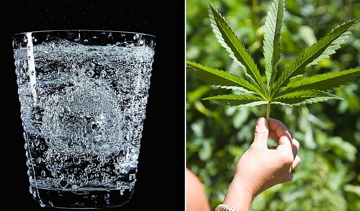 seltzer-cannabis-lagunitas-getty