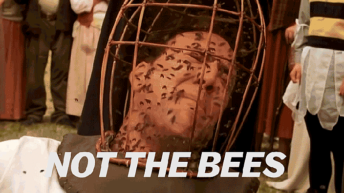 Nic-Cage-Not-the-bees The bees.