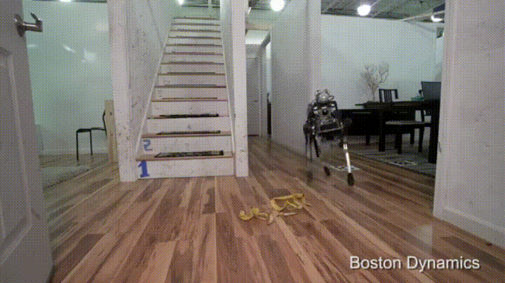 Boston Dynamics agile SpotMini robo dog - banana peels.gif Even banana peels can't stymie it (Photo: Boston Dynamics c/o Imgur)