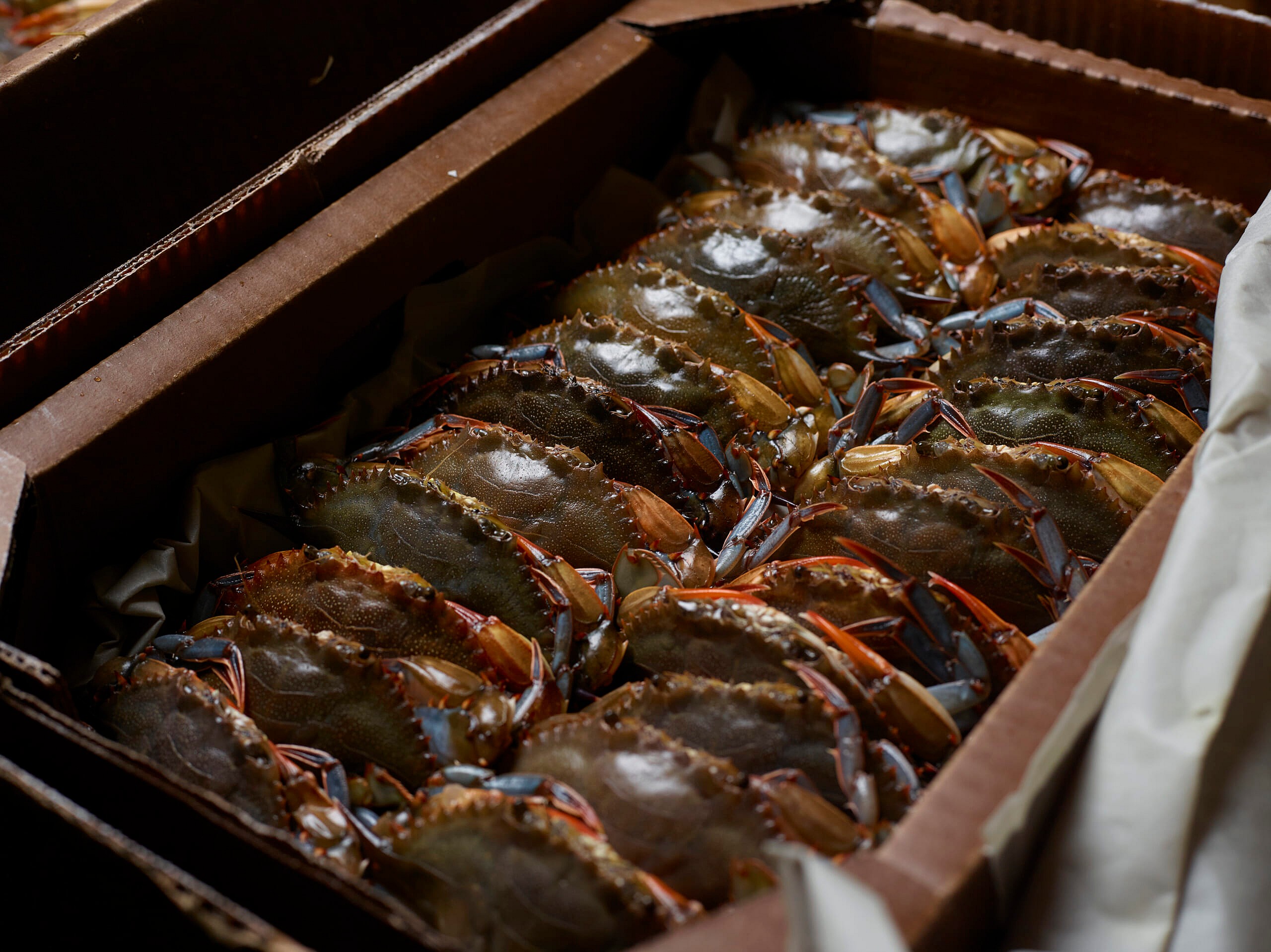 CRABS-SOFTSHELL-sauteed-R (2)
