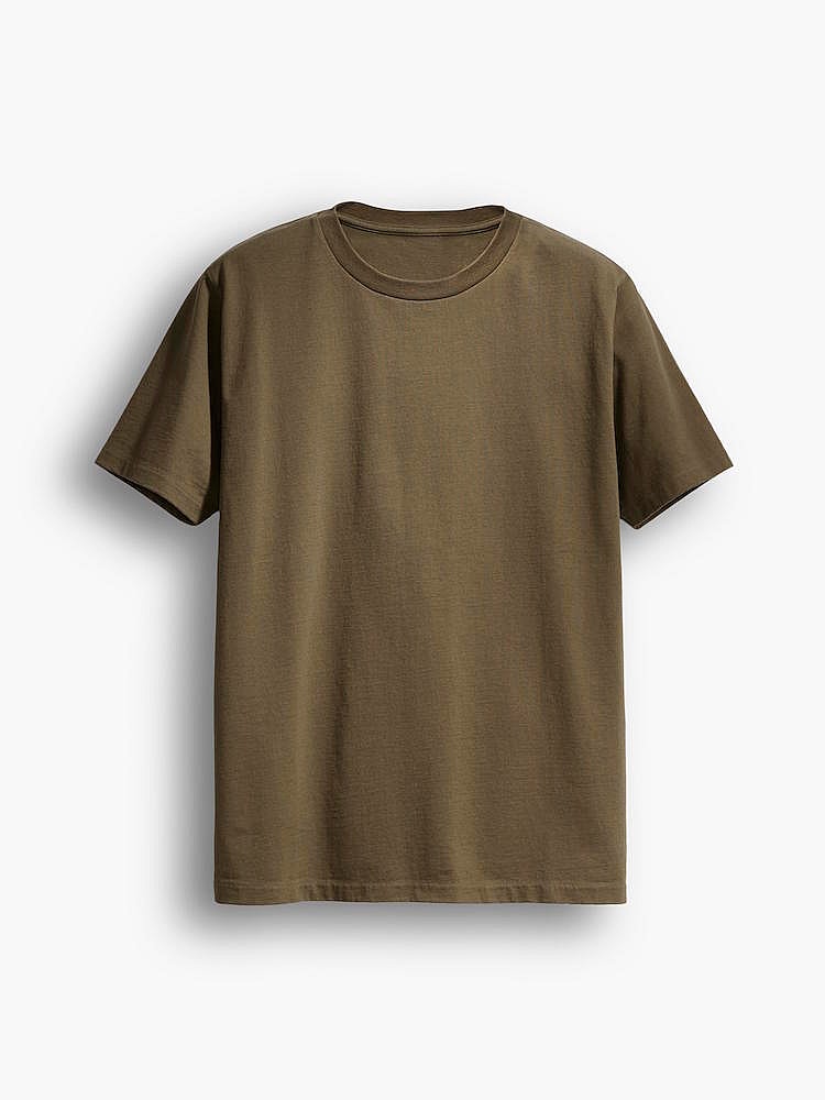 levis-made--crafted-80z-tee-in-fern_26118989295_o.jpg