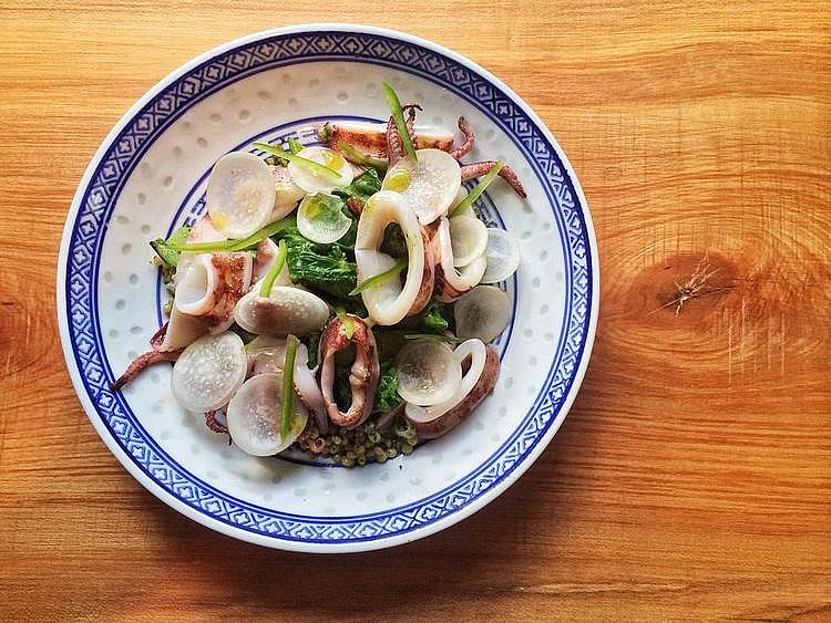 squid+grains