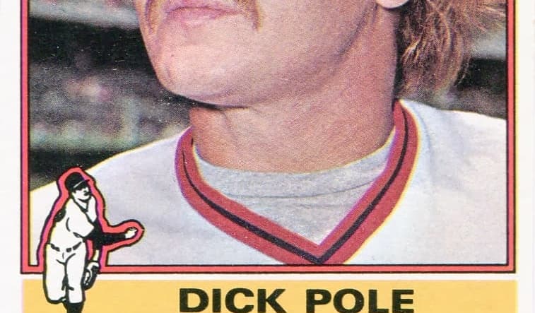 1dick pole.jpg