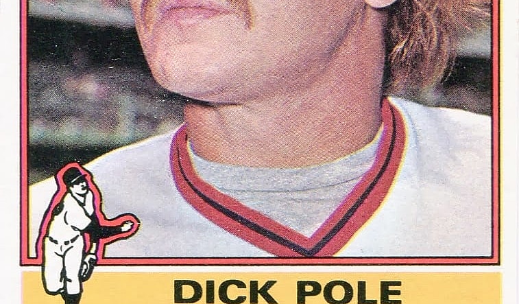 1dick pole.jpg