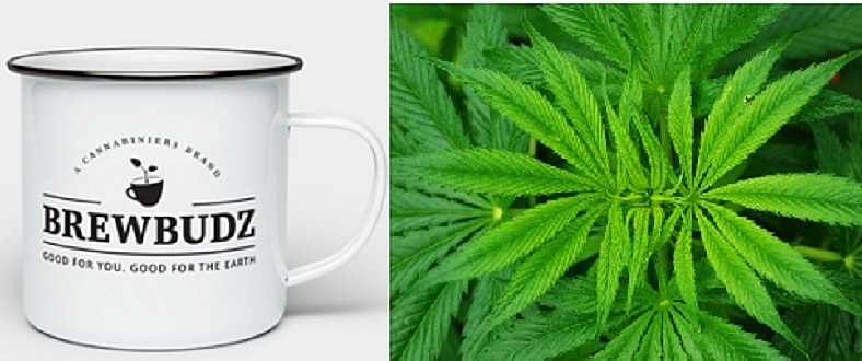 Weed and Coffee BrewBudz