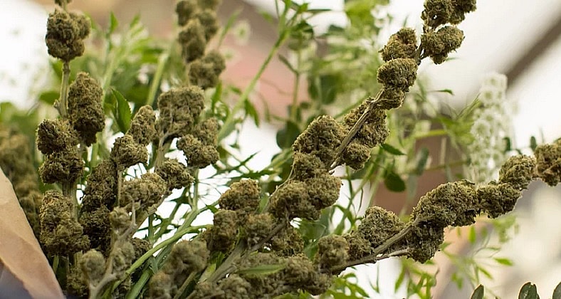 Marijuana bouquet